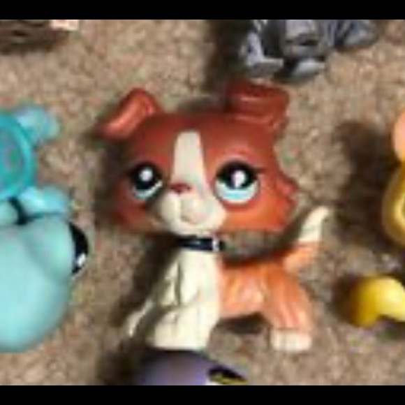 OLD VERSION LPS LITTLEST PET SHOP PET LOT!! - Picture 5 of 5